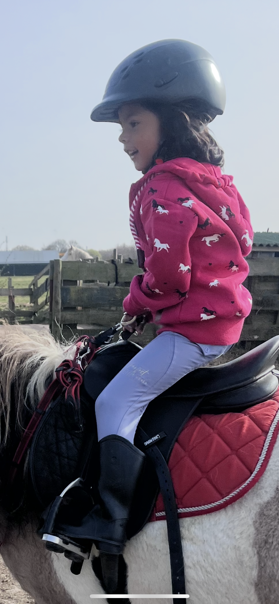 Rijlegging Lila